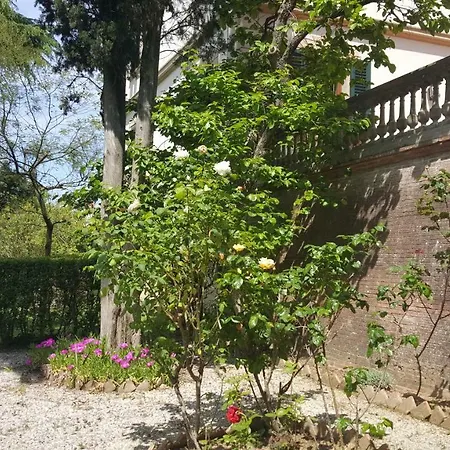 Esperienza In San Miniato